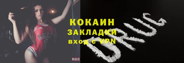 МДПВ Каменногорск