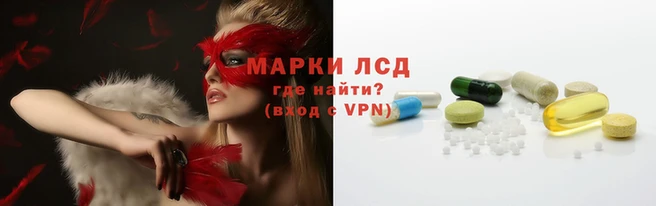 МДПВ Каменногорск