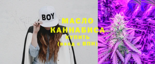 МДПВ Каменногорск