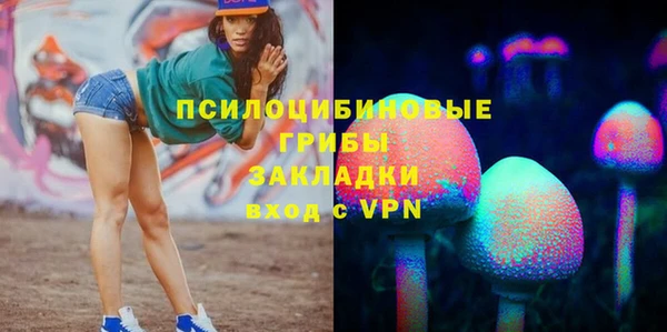 МДПВ Каменногорск