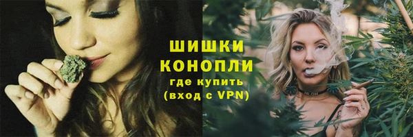 СК Каменск-Шахтинский