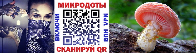 Галлюциногенные грибы ЛСД  Купить закладки  Иланский 